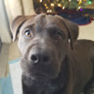 Meet your Posher, Courtney